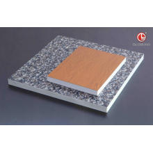 Aluminium Energy-Saving Panel (AEP-WF001)